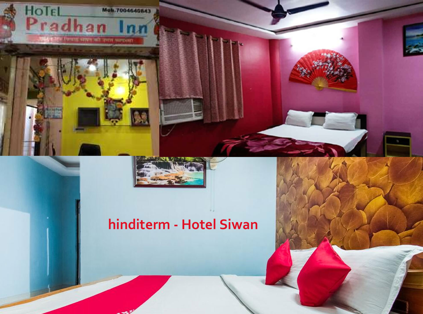 Best hotel in siwan