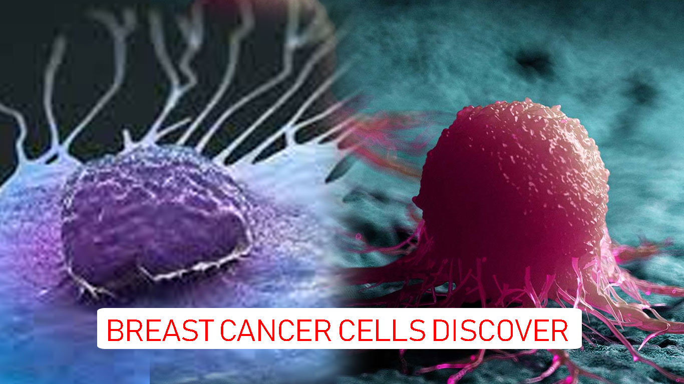 Breast Cancer Cell Discover