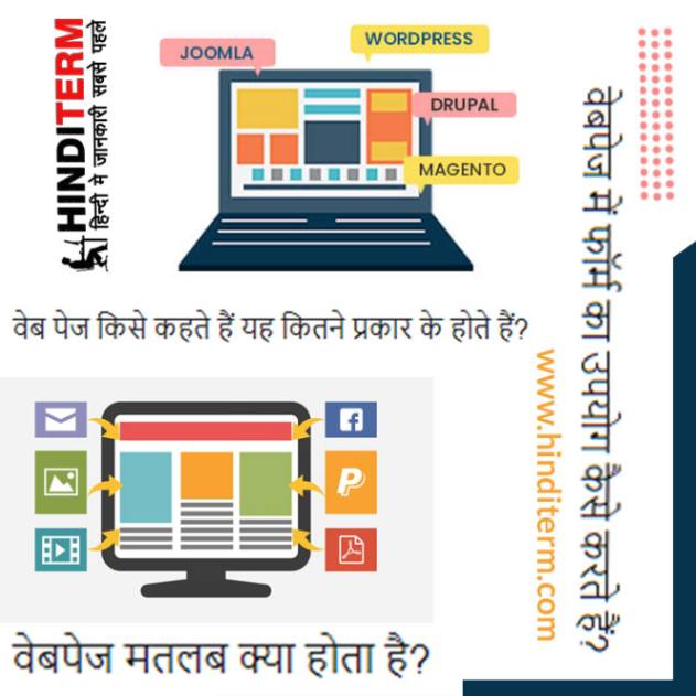 वेब पेज किसे कहते हैं यह कितने प्रकार के होते हैं?