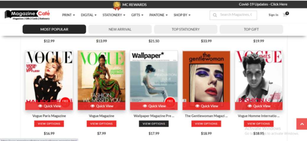 वेबसाइट का हिंदी अर्थ क्या है?